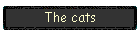 The cats